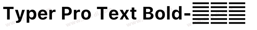 Typer Pro Text Bold字体转换